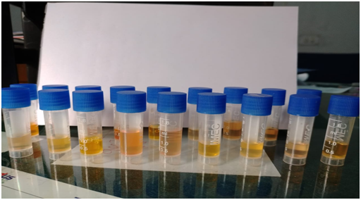 BLOOD SERUM SAMPLE COLLECTION FROM BUFFALO Blood Serum Sample Collection from Buffalo